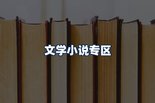 文学小说PDF展示